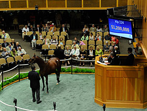 Saratoga Sale Finishes With Upswings Saratoga Sale Finishes With Upswings