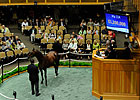 Saratoga Sale Finishes With Upswings