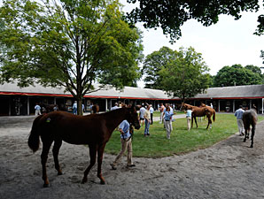 Outlook Uncertain for Saratoga Select Sale Outlook Uncertain for Saratoga Select Sale