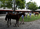 Outlook Uncertain for Saratoga Select Sale Outlook Uncertain for Saratoga Select Sale