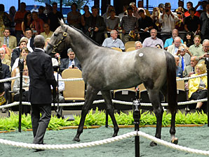 Medaglia d'Oro Filly Brings $1.575M at F-T Medaglia d'Oro Filly Brings $1.575M at F-T