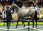 Medaglia d'Oro Filly Brings $1.575M at F-T Medaglia d'Oro Filly Brings $1.575M at F-T