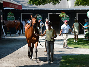 High Hopes Heading Into NY-Bred Yearling Sale