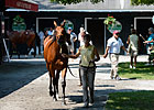 High Hopes Heading Into NY-Bred Yearling Sale
