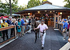 Fasig-Tipton Saratoga Sales Wrap - Day 2 Fasig-Tipton Saratoga Sales Wrap - Day 2