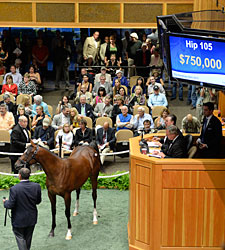 Indian Charlie Colt Tops Early at F-T Session Indian Charlie Colt Tops Early at F-T Session