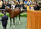Indian Charlie Colt Tops Early at F-T Session Indian Charlie Colt Tops Early at F-T Session
