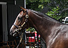 Savoy Stomp to Make Stakes Debut in Lecomte Savoy Stomp to Make Stakes Debut in Lecomte