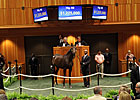 Saratoga Sale Soars During Opening Session Saratoga Sale Soars During Opening Session