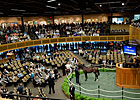 F-T Saratoga Sale Nearly Equal to 2012 F-T Saratoga Sale Nearly Equal to 2012