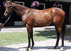 Sales Up, Average Steady at F-T Saratoga Sales Up, Average Steady at F-T Saratoga