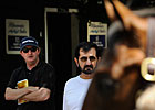 What New York Says About the Yearling Market