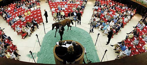 Saratoga Sale Preview: Sire Power Saratoga Sale Preview: Sire Power