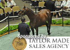 Fasig-Tipton Saratoga Select Sale Day 2 Wrap Fasig-Tipton Saratoga Select Sale Day 2 Wrap