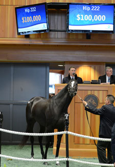 F-T New York Mixed Sale Grosses $1,933,600 F-T New York Mixed Sale Grosses $1,933,600