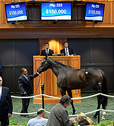 Secret Union Tops F-T Saratoga Sale Secret Union Tops F-T Saratoga Sale