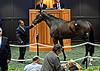 Secret Union Tops F-T Saratoga Sale Secret Union Tops F-T Saratoga Sale