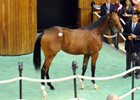 Bernardini Colt Brings $1.2 Million