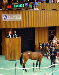 Bernardini Colt Brings $1.2 Million Bernardini Colt Brings $1.2 Million