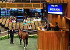 FT NY-Bred Sale - Hip 379 brings $430k FT NY-Bred Sale - Hip 379 brings $430k
