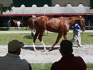 Getting the Yearling Sales 'Cream' to the Top Getting the Yearling Sales 'Cream' to the Top
