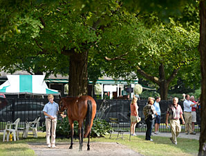 Talkin' F-T Saratoga: Market Expectations Talkin' F-T Saratoga: Market Expectations