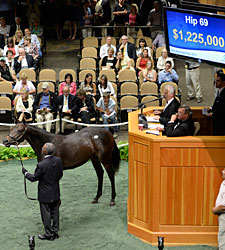 Dynaformer Filly Sells for $1,225,000 Dynaformer Filly Sells for $1,225,000