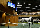 Fasig-Tipton Saratoga Sale Day 1 Wrap Fasig-Tipton Saratoga Sale Day 1 Wrap