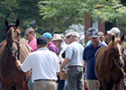 Horses to Watch at F-T Saratoga Sale, Day 2 Horses to Watch at F-T Saratoga Sale, Day 2