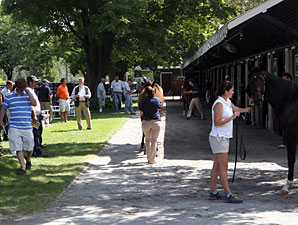 U.S. Buyers Could Step Up at Saratoga Sale U.S. Buyers Could Step Up at Saratoga Sale