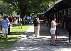 U.S. Buyers Could Step Up at Saratoga Sale U.S. Buyers Could Step Up at Saratoga Sale