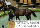 Fasig-Tipton Saratoga Sale Day 1 Wrap Fasig-Tipton Saratoga Sale Day 1 Wrap