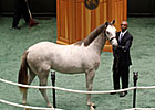 F-T NY-Bred Sale Finishes With Gains F-T NY-Bred Sale Finishes With Gains