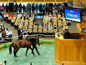 Bernardini Yearlings Bring $750,000, $600,000 Bernardini Yearlings Bring $750,000, $600,000