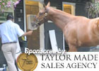 Video: Saratoga News Minute for 8/8/2011