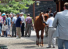 F-T Saratoga Sale Rich in Well-Bred Fillies F-T Saratoga Sale Rich in Well-Bred Fillies