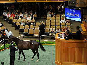Half Brother to Super Saver Brings $1.2 M Half Brother to Super Saver Brings $1.2 M