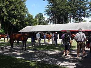 F-T Saratoga: Session I Hot Horses (Updated) F-T Saratoga: Session I Hot Horses (Updated)