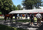 F-T Saratoga: Session I Hot Horses (Updated) F-T Saratoga: Session I Hot Horses (Updated)