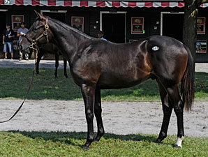 Saratoga Slip: Sale Average Declines 13.8% Saratoga Slip: Sale Average Declines 13.8%