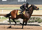 Fasig-Tipton Texas Catalogs 167 Horses