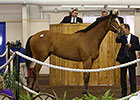 Gross Up at F-T Texas Sale; Average Down Gross Up at F-T Texas Sale; Average Down