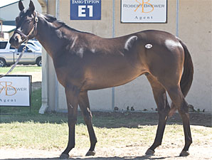 Two Bring $105,000 at F-T Texas Juvenile Sale Two Bring $105,000 at F-T Texas Juvenile Sale