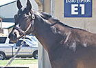 Two Bring $105,000 at F-T Texas Juvenile Sale Two Bring $105,000 at F-T Texas Juvenile Sale