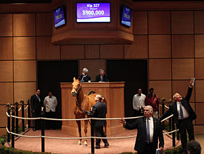 Melnyk Horses Bring Gratifying Sale Results Melnyk Horses Bring Gratifying Sale Results