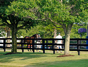 F-T July Session 2: What Horses Will Shine? F-T July Session 2: What Horses Will Shine?