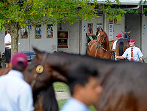 F-T July Session 1: Who Are the Top Horses? F-T July Session 1: Who Are the Top Horses?