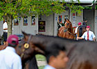 F-T July Session 1: Who Are the Top Horses?