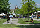 Barns Busy As F-T July Sale Approaches Barns Busy As F-T July Sale Approaches