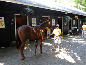 Business Down at F-T Preferred Yearling Sale Business Down at F-T Preferred Yearling Sale